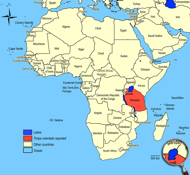 Distibution Map Africa